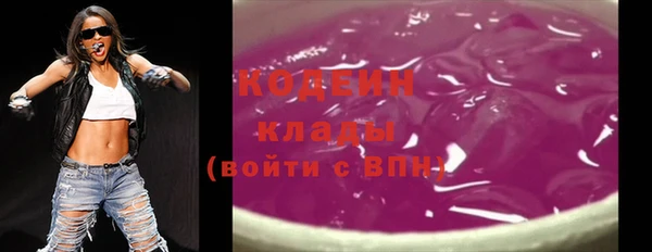 дживик Абаза