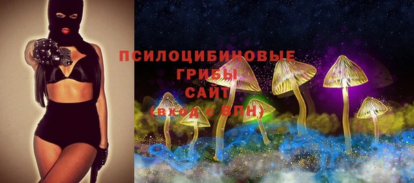 дживик Абаза