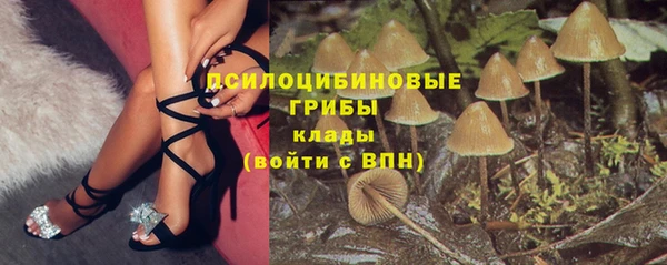 дживик Абаза